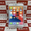iPhone8 SoftBank版SIMフリー 64GB MQ792J/A A1906 極美品-正面