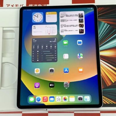 iPad Pro 12.9インチ 第5世代 Wi-Fiモデル 256GB MHNJ3J/A A2378 外観美品